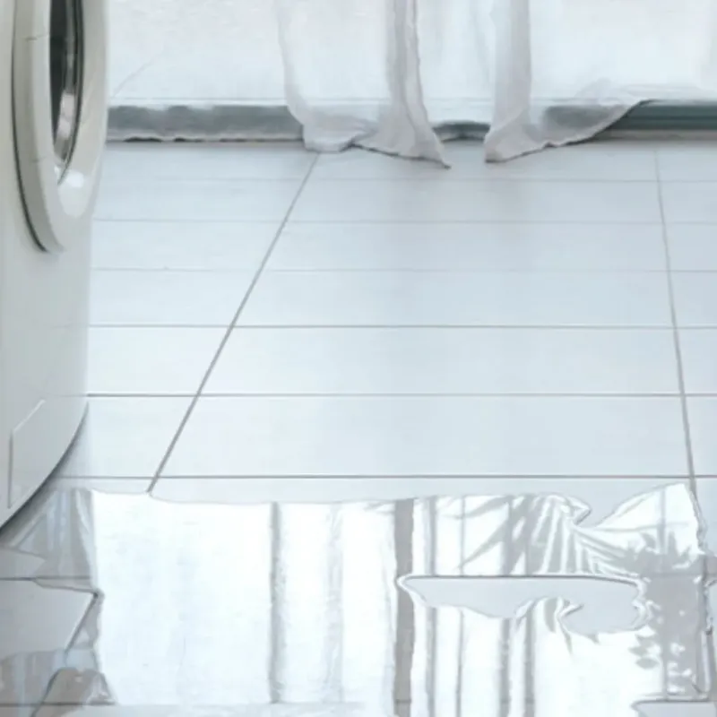 Appliance Leak Cleanup in Taylor County, WI