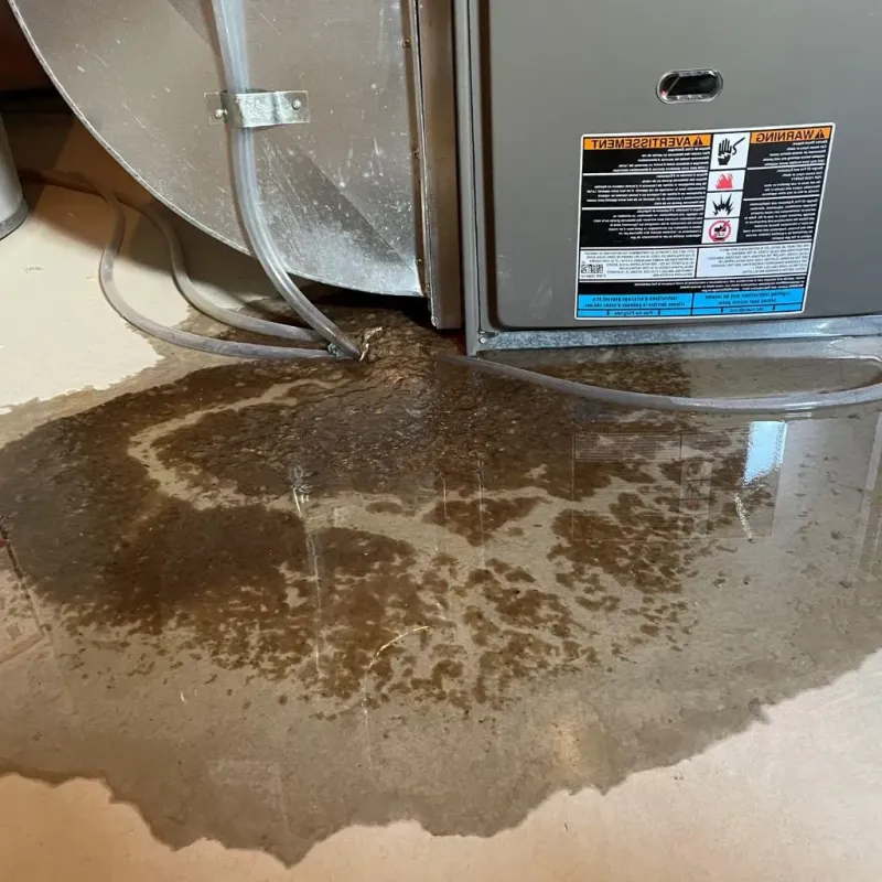 Pipe Burst and Leak Restoration in Taylor County, WI